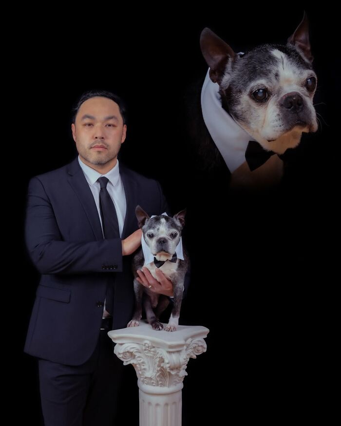 This Photographer Captured 49 Silly And Quirky Portraits Of Pets And Their Owners Once Again