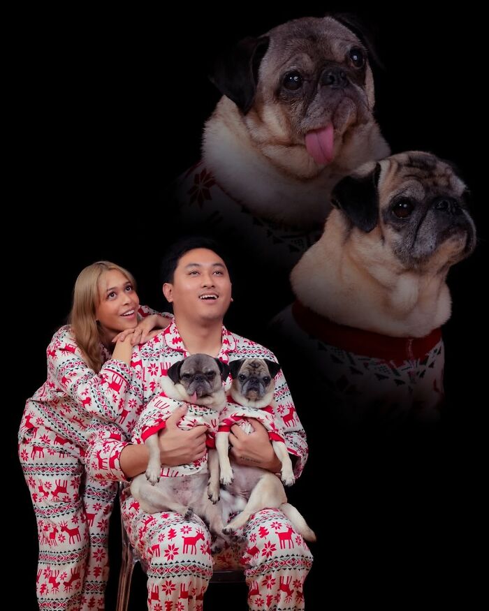 This Photographer Captured 49 Silly And Quirky Portraits Of Pets And Their Owners Once Again