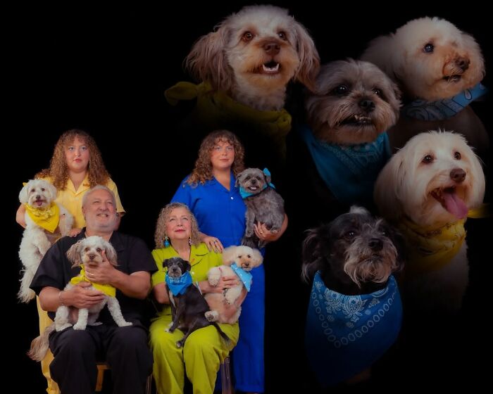 This Photographer Captured 49 Silly And Quirky Portraits Of Pets And Their Owners Once Again