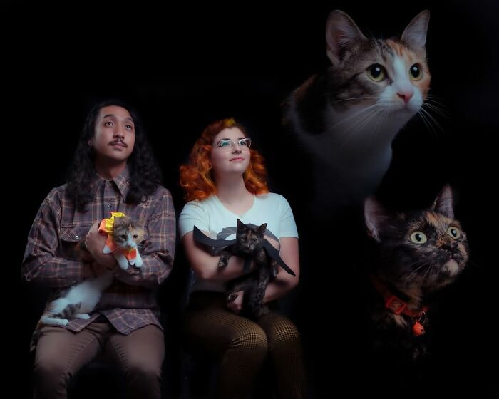 This Photographer Captured 49 Silly And Quirky Portraits Of Pets And Their Owners Once Again