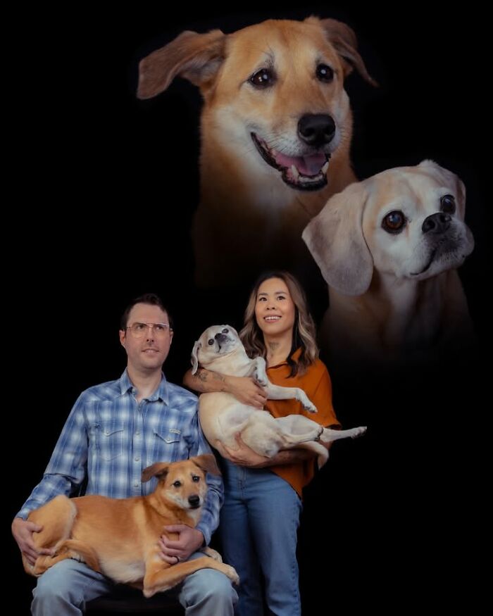 This Photographer Captured 49 Silly And Quirky Portraits Of Pets And Their Owners Once Again