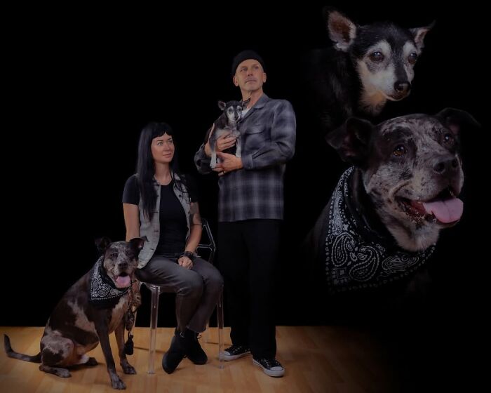 This Photographer Captured 49 Silly And Quirky Portraits Of Pets And Their Owners Once Again