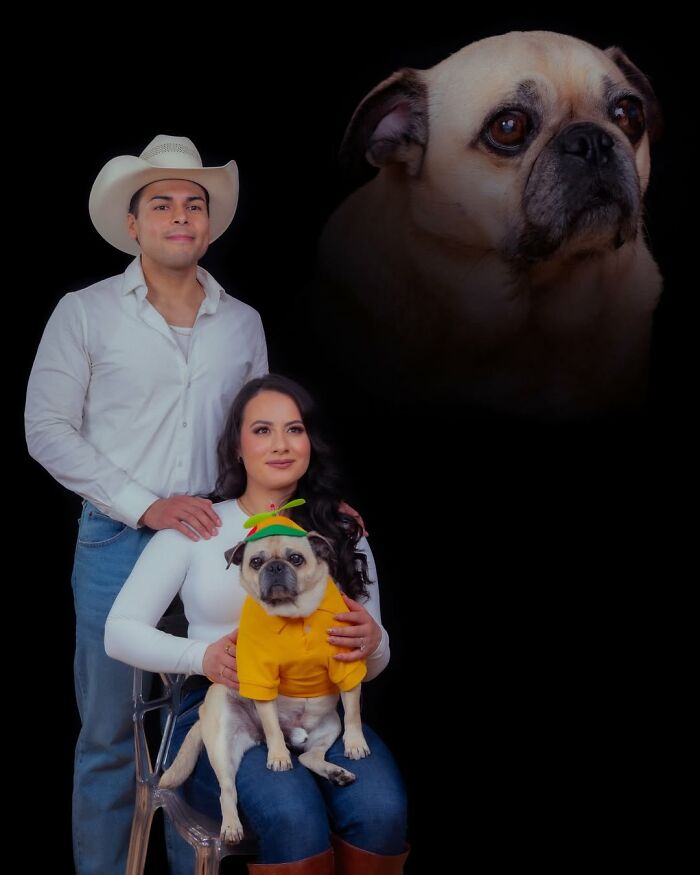 This Photographer Captured 49 Silly And Quirky Portraits Of Pets And Their Owners Once Again