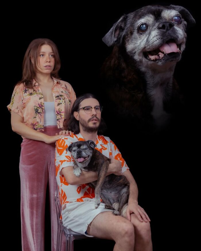 This Photographer Captured 49 Silly And Quirky Portraits Of Pets And Their Owners Once Again