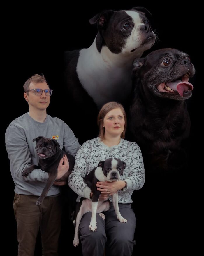 This Photographer Captured 49 Silly And Quirky Portraits Of Pets And Their Owners Once Again