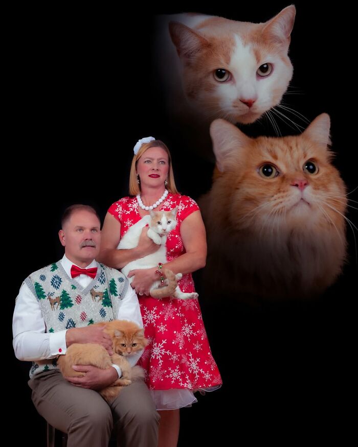 This Photographer Captured 49 Silly And Quirky Portraits Of Pets And Their Owners Once Again