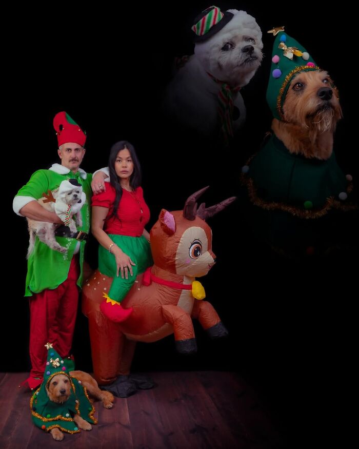 This Photographer Captured 49 Silly And Quirky Portraits Of Pets And Their Owners Once Again