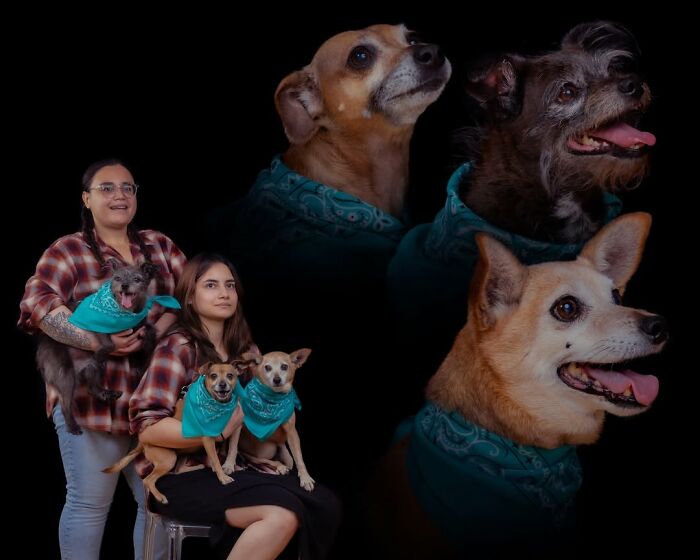 This Photographer Captured 49 Silly And Quirky Portraits Of Pets And Their Owners Once Again