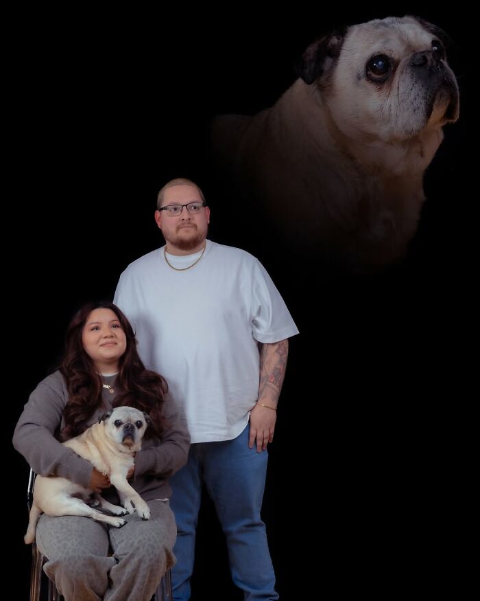 This Photographer Captured 49 Silly And Quirky Portraits Of Pets And Their Owners Once Again