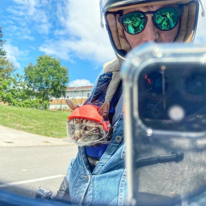 This Owner Brings His Cat Everywhere And They Go On All Kinds Of Crazy Adventures Together (33 New Pics)