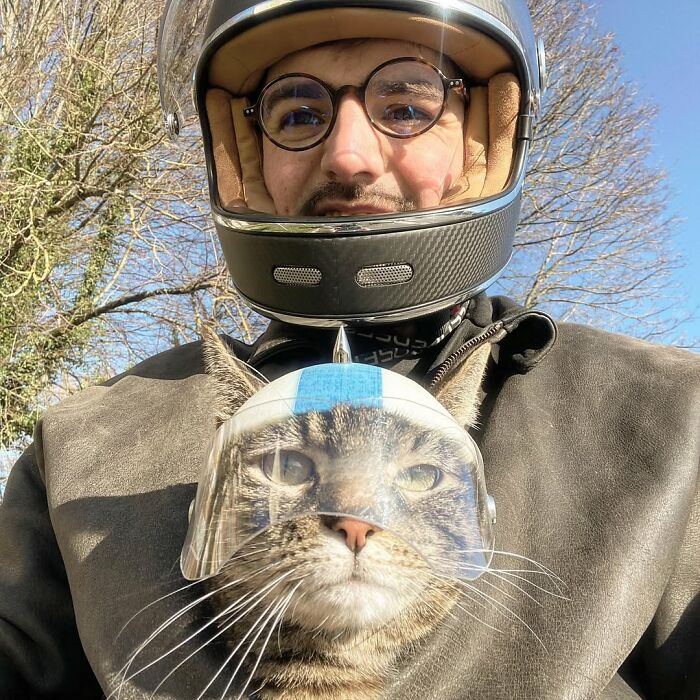 This Owner Brings His Cat Everywhere And They Go On All Kinds Of Crazy Adventures Together (33 New Pics)