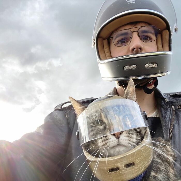 This Owner Brings His Cat Everywhere And They Go On All Kinds Of Crazy Adventures Together (33 New Pics)