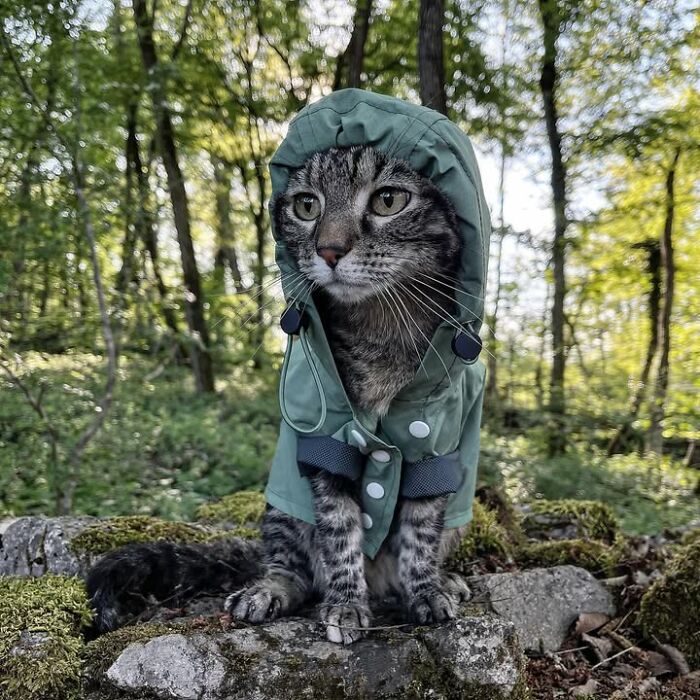 This Owner Brings His Cat Everywhere And They Go On All Kinds Of Crazy Adventures Together (33 New Pics)