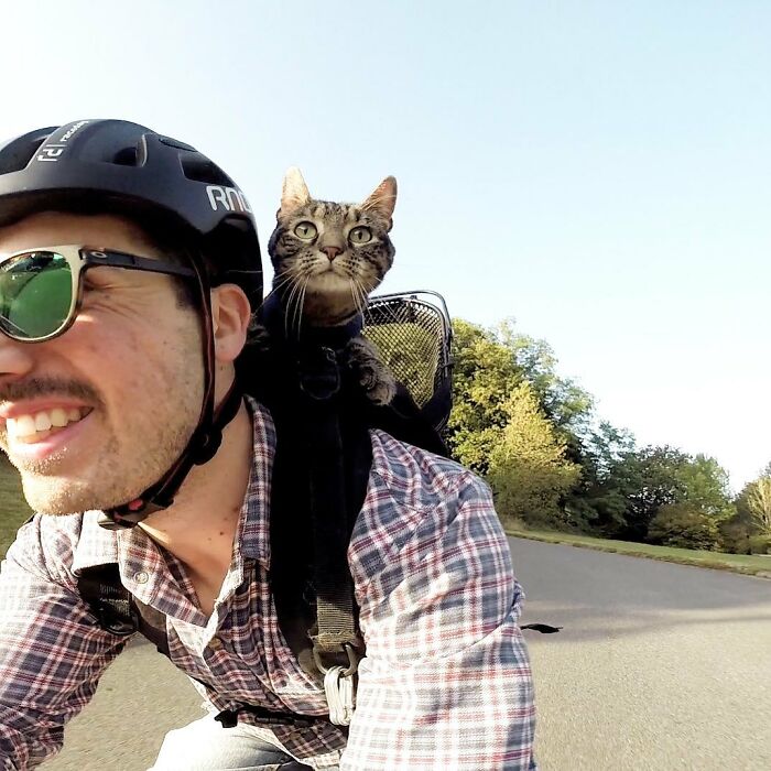 This Owner Brings His Cat Everywhere And They Go On All Kinds Of Crazy Adventures Together (33 New Pics)