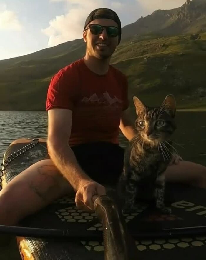 This Owner Brings His Cat Everywhere And They Go On All Kinds Of Crazy Adventures Together (33 New Pics)
