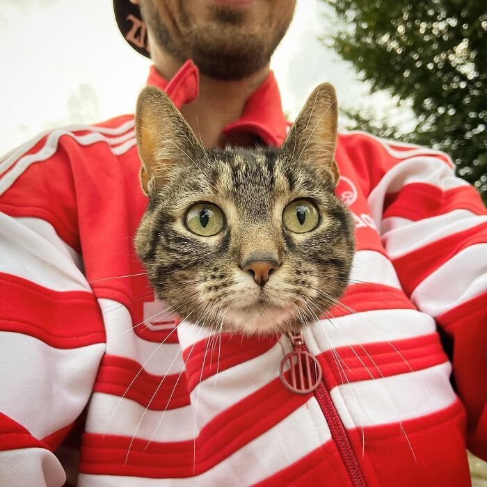 This Owner Brings His Cat Everywhere And They Go On All Kinds Of Crazy Adventures Together (33 New Pics)