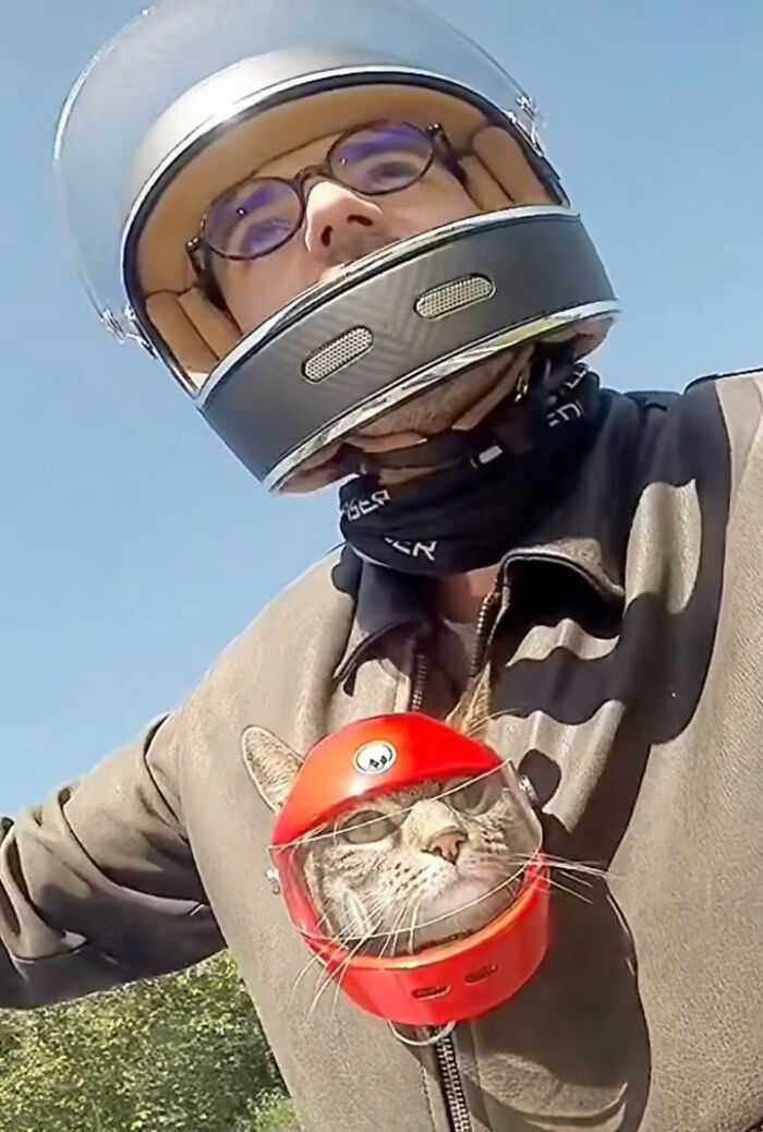 This Owner Brings His Cat Everywhere And They Go On All Kinds Of Crazy Adventures Together (33 New Pics)