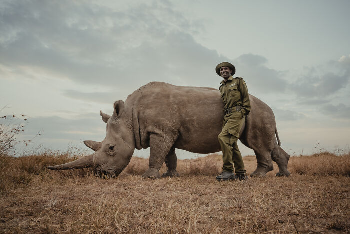 Photographer Captured The Last 2 Northern White Rhinos And The People Who Protect Them (18 Pics) Photographer Captured The Last 2 Northern White Rhinos And The People Who Protect Them (18 Pics)