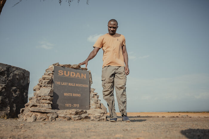 Photographer Captured The Last 2 Northern White Rhinos And The People Who Protect Them (18 Pics) Photographer Captured The Last 2 Northern White Rhinos And The People Who Protect Them (18 Pics)