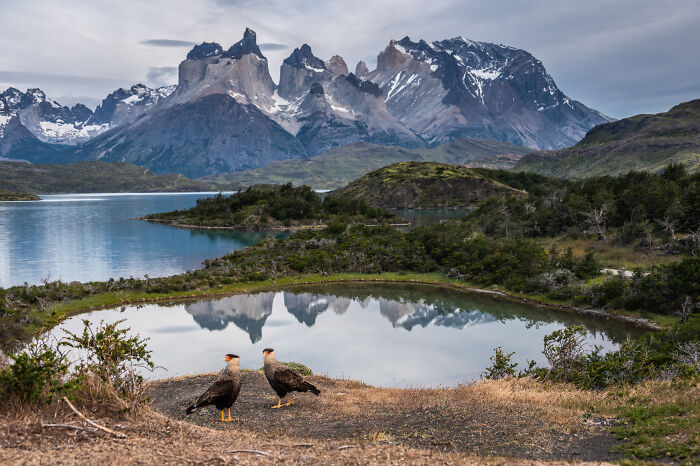 The 2025 & 2026 Audubon Photography Awards Highlighted These 54 Incredible Bird Shots The 2025 & 2026 Audubon Photography Awards Highlighted These 54 Incredible Bird Shots