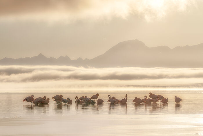 The 2025 & 2026 Audubon Photography Awards Highlighted These 54 Incredible Bird Shots The 2025 & 2026 Audubon Photography Awards Highlighted These 54 Incredible Bird Shots