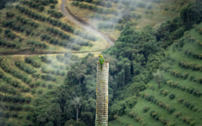 The 2025 & 2026 Audubon Photography Awards Highlighted These 54 Incredible Bird Shots The 2025 & 2026 Audubon Photography Awards Highlighted These 54 Incredible Bird Shots