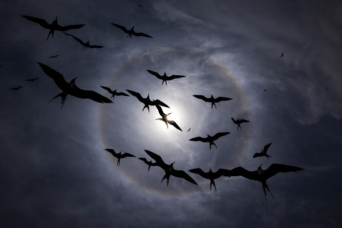 The 2025 & 2026 Audubon Photography Awards Highlighted These 54 Incredible Bird Shots The 2025 & 2026 Audubon Photography Awards Highlighted These 54 Incredible Bird Shots