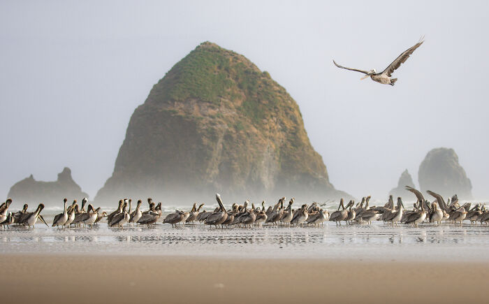 The 2025 & 2026 Audubon Photography Awards Highlighted These 54 Incredible Bird Shots The 2025 & 2026 Audubon Photography Awards Highlighted These 54 Incredible Bird Shots