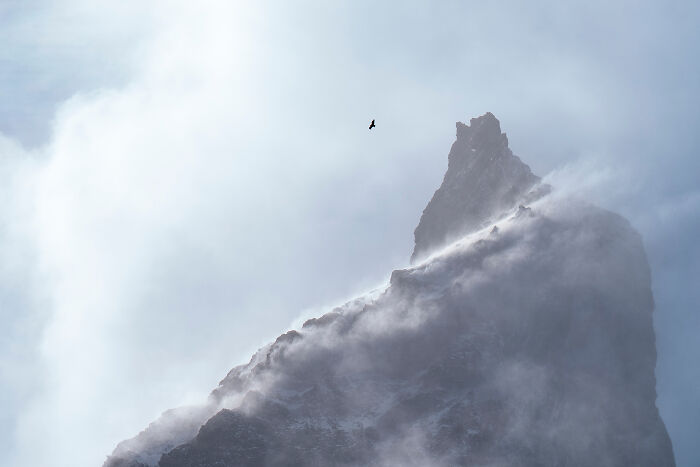 The 2025 & 2026 Audubon Photography Awards Highlighted These 54 Incredible Bird Shots The 2025 & 2026 Audubon Photography Awards Highlighted These 54 Incredible Bird Shots