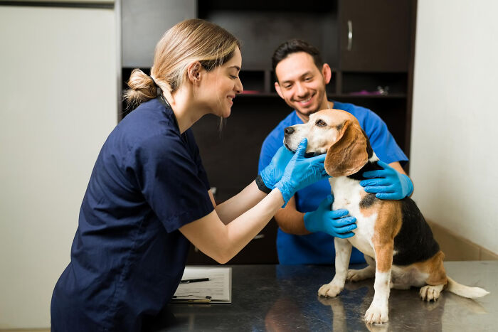 Medical Professionals Reveal The Serious Issues They Treated That Started Seeming So Innocent