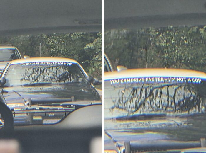 89 Chaotic Signs Spotted In The Wild That Made People Question Reality 89 Chaotic Signs Spotted In The Wild That Made People Question Reality