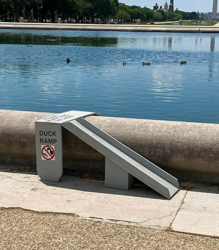 89 Chaotic Signs Spotted In The Wild That Made People Question Reality 89 Chaotic Signs Spotted In The Wild That Made People Question Reality