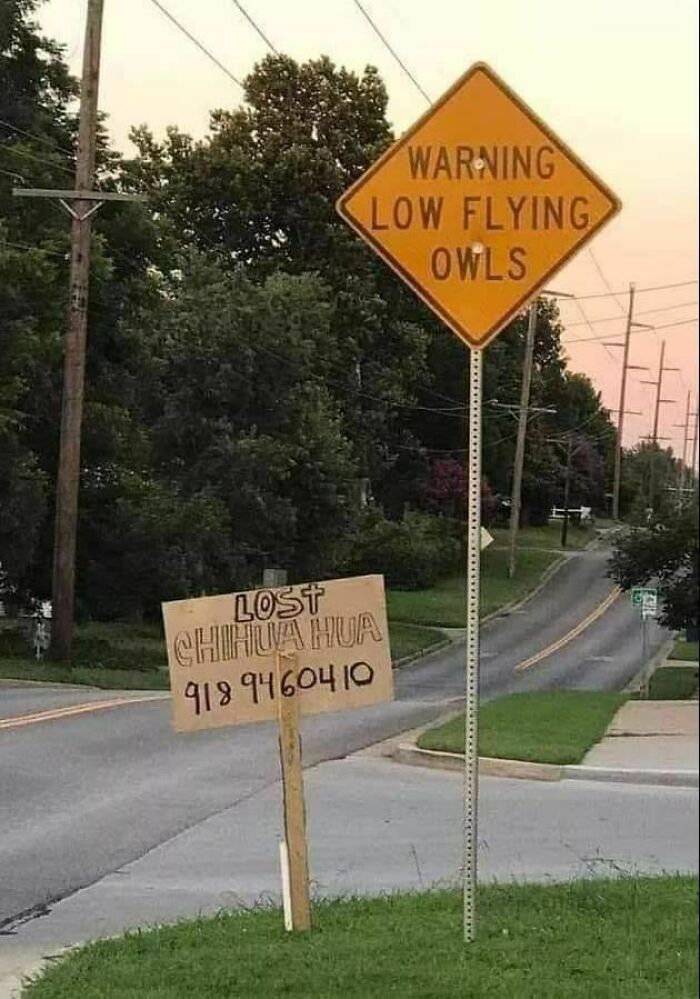 89 Chaotic Signs Spotted In The Wild That Made People Question Reality 89 Chaotic Signs Spotted In The Wild That Made People Question Reality