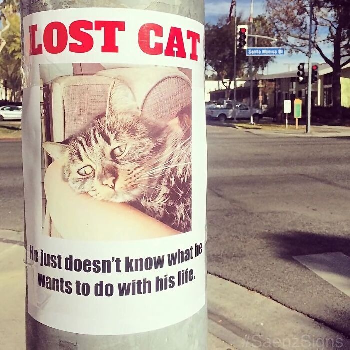 89 Chaotic Signs Spotted In The Wild That Made People Question Reality 89 Chaotic Signs Spotted In The Wild That Made People Question Reality