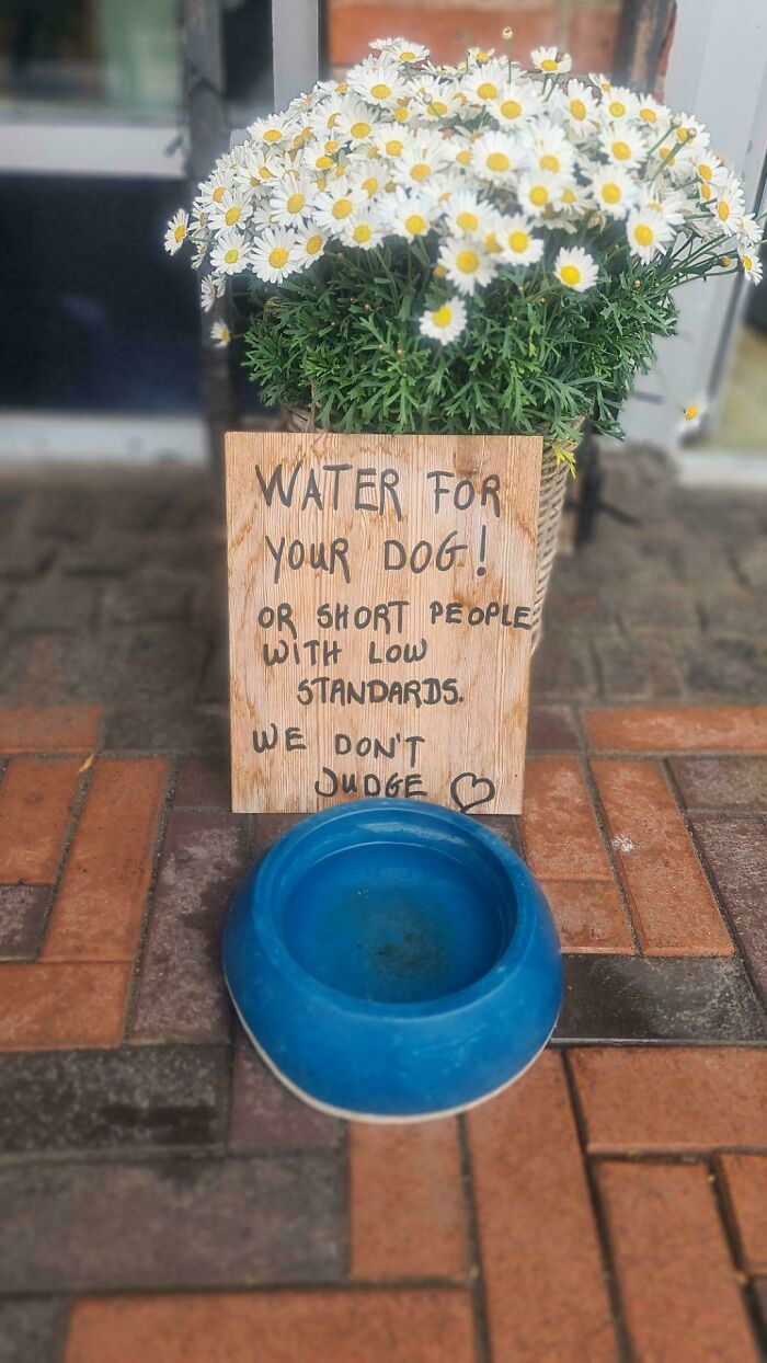 89 Chaotic Signs Spotted In The Wild That Made People Question Reality 89 Chaotic Signs Spotted In The Wild That Made People Question Reality