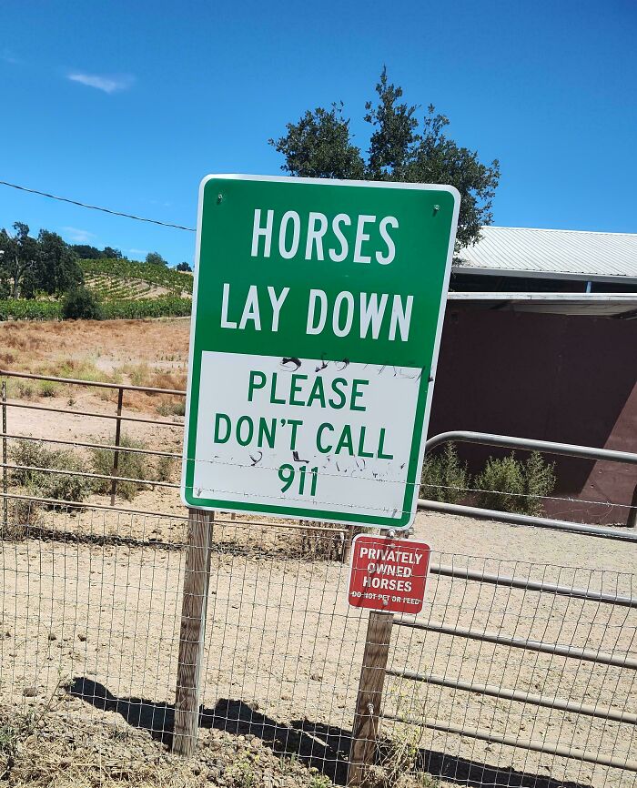 89 Chaotic Signs Spotted In The Wild That Made People Question Reality 89 Chaotic Signs Spotted In The Wild That Made People Question Reality