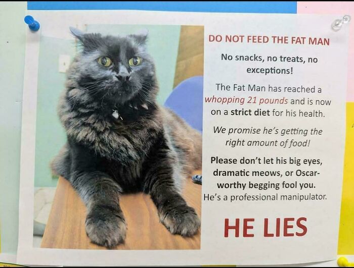89 Chaotic Signs Spotted In The Wild That Made People Question Reality 89 Chaotic Signs Spotted In The Wild That Made People Question Reality