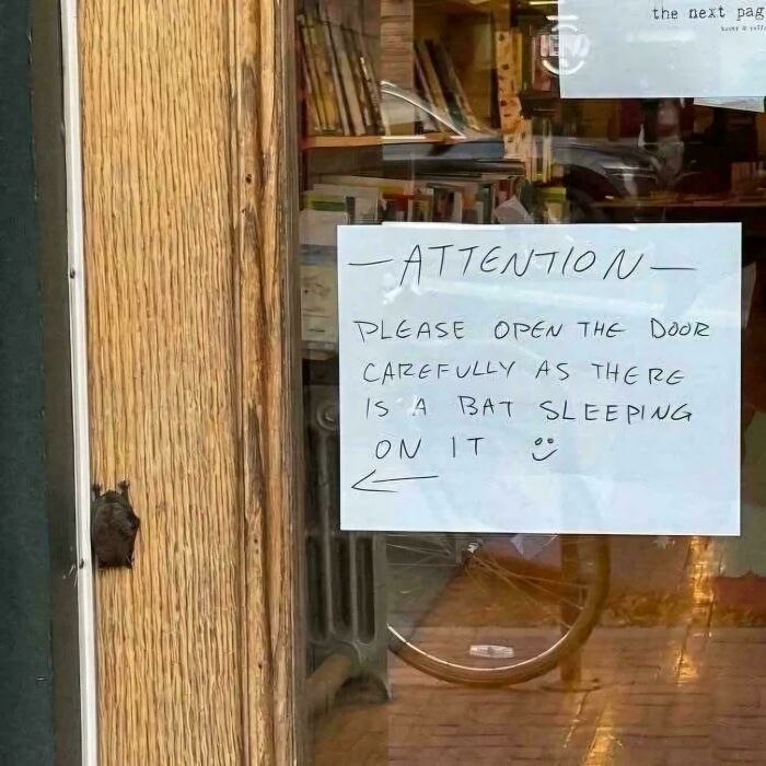 89 Chaotic Signs Spotted In The Wild That Made People Question Reality 89 Chaotic Signs Spotted In The Wild That Made People Question Reality