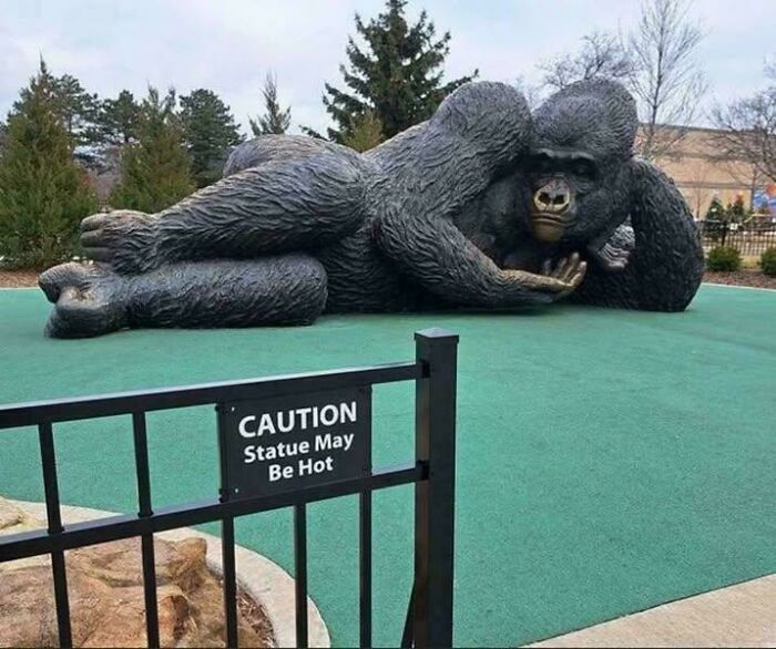 89 Chaotic Signs Spotted In The Wild That Made People Question Reality 89 Chaotic Signs Spotted In The Wild That Made People Question Reality