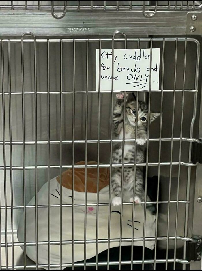 89 Chaotic Signs Spotted In The Wild That Made People Question Reality 89 Chaotic Signs Spotted In The Wild That Made People Question Reality