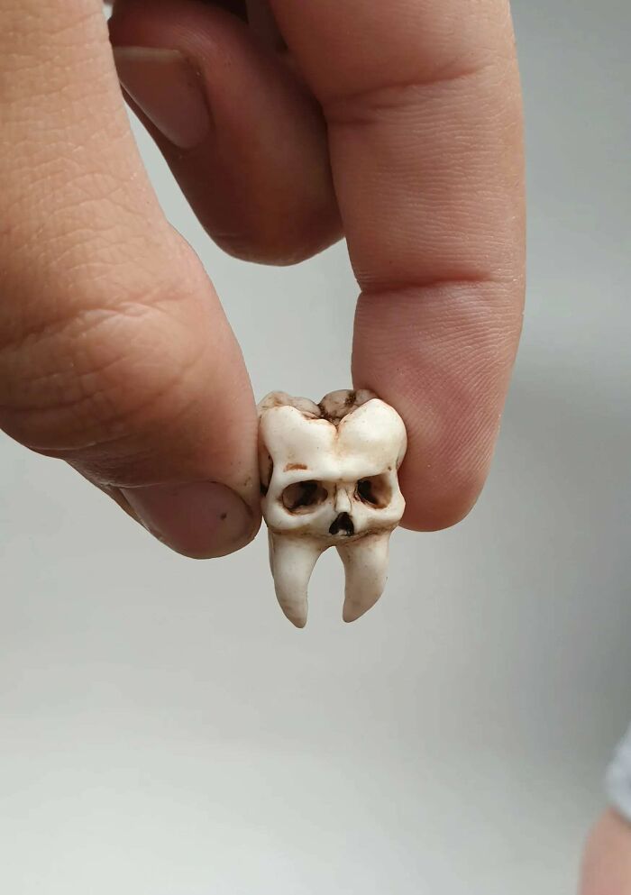 87 Times People Needed Something So They Just Printed Them With Their 3D Printers 87 Times People Needed Something So They Just Printed Them With Their 3D Printers