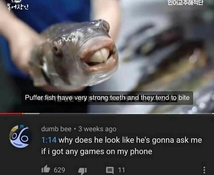87 Times The Comment Section Was Funnier Than Anything In The Actual Post 87 Times The Comment Section Was Funnier Than Anything In The Actual Post