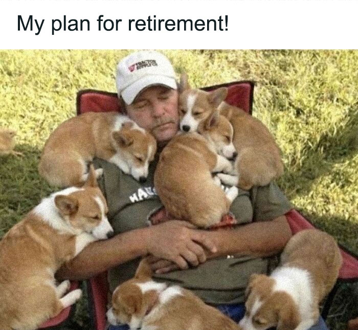 79 Times Dogs Were So Hilariously Adorable That They Got Turned Into Memes