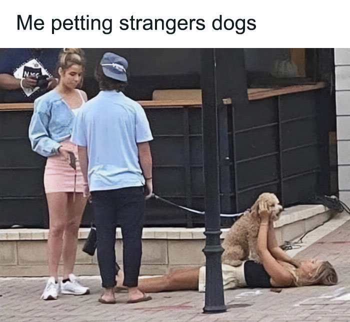 79 Times Dogs Were So Hilariously Adorable That They Got Turned Into Memes