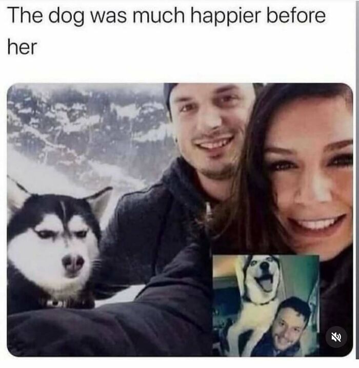 79 Times Dogs Were So Hilariously Adorable That They Got Turned Into Memes