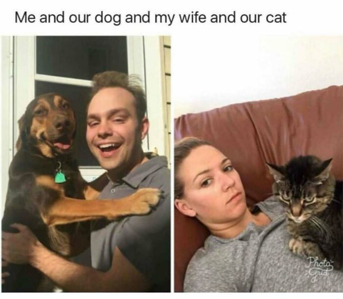 79 Times Dogs Were So Hilariously Adorable That They Got Turned Into Memes