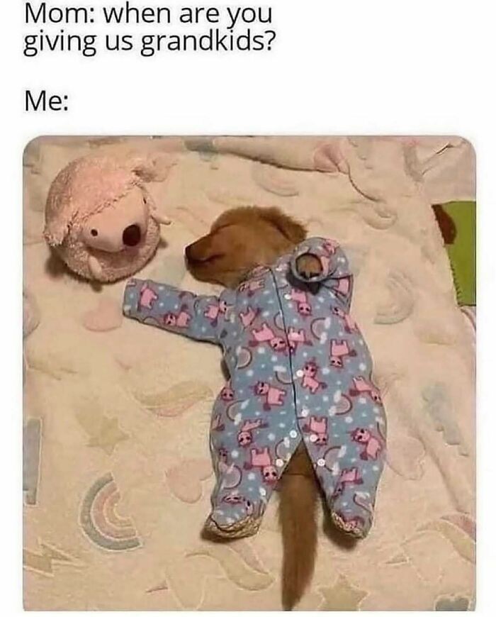 79 Times Dogs Were So Hilariously Adorable That They Got Turned Into Memes