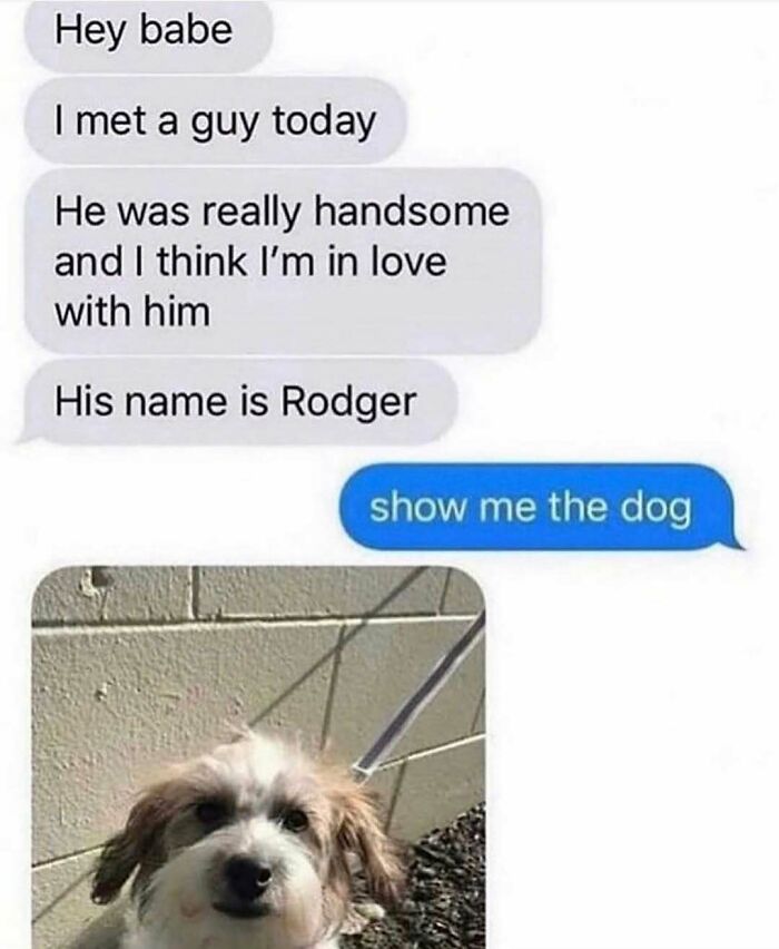 79 Times Dogs Were So Hilariously Adorable That They Got Turned Into Memes