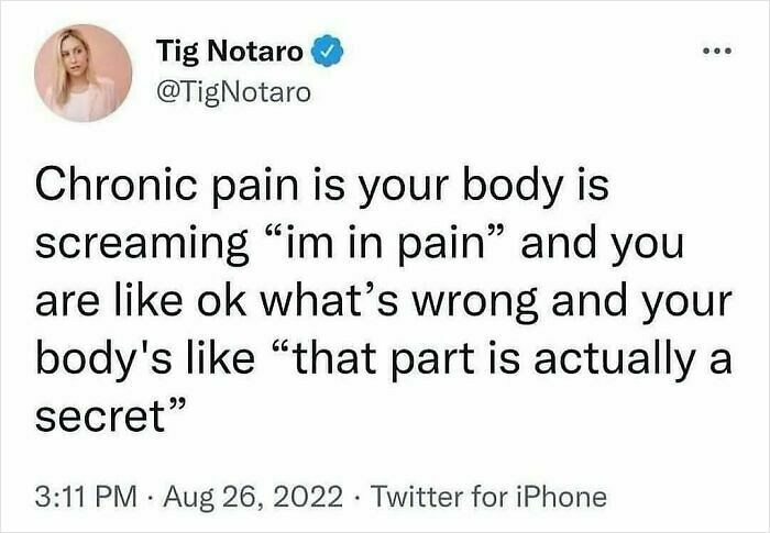 52 Funny Memes For Anyone Fluent In Sarcasm And Unhinged Humor