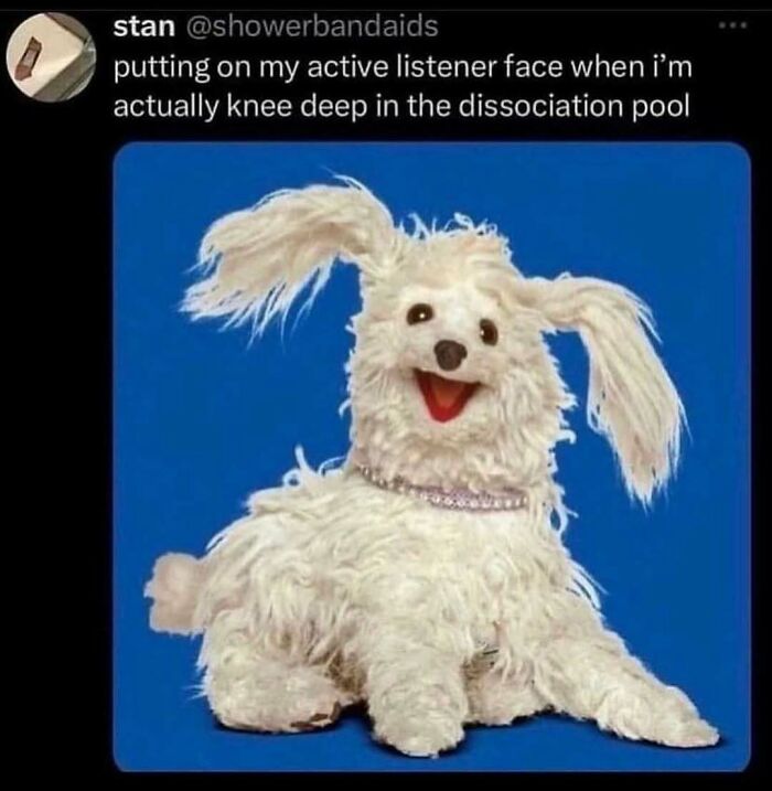 52 Funny Memes For Anyone Fluent In Sarcasm And Unhinged Humor